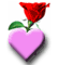 Send greetings to your friends by Kalpoint.com